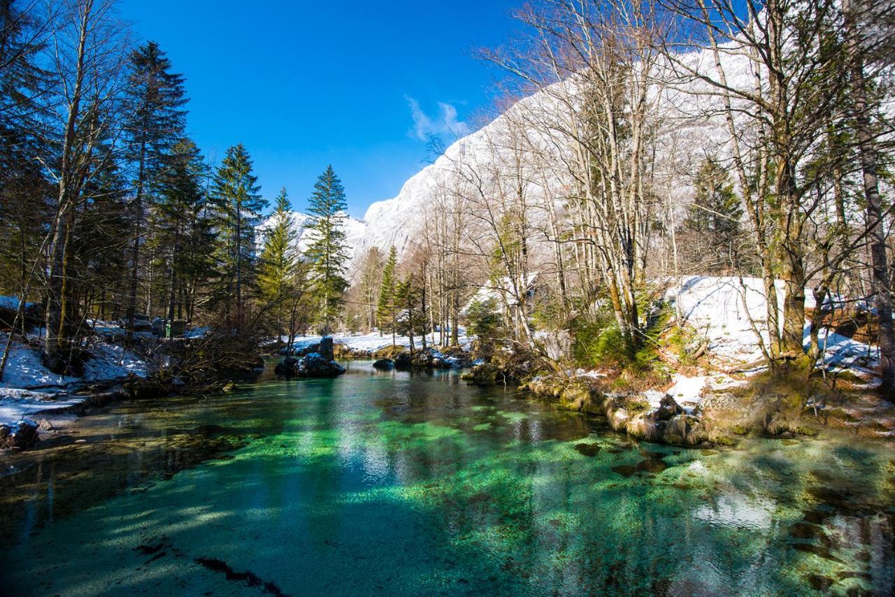 Hotel Zotlar House Bohinj Zewnętrze zdjęcie